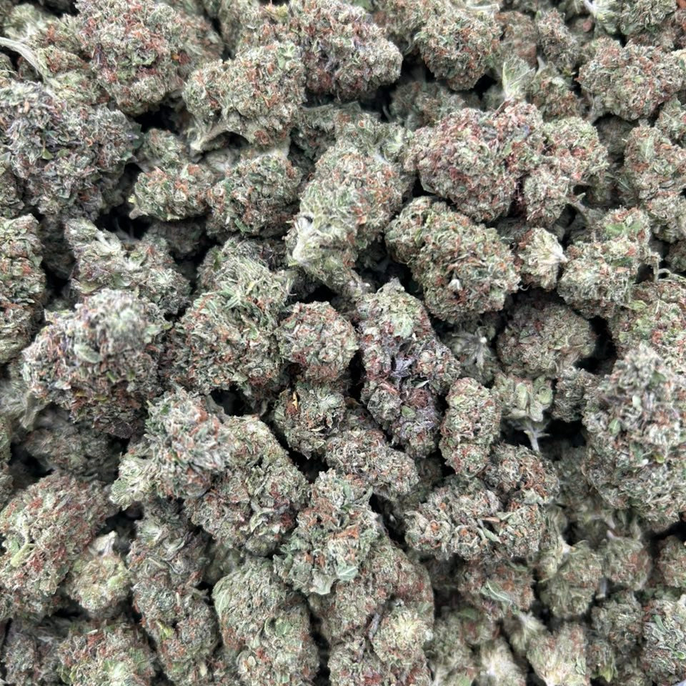 "Ice Cream Cake" Greenhouse (2 grams)