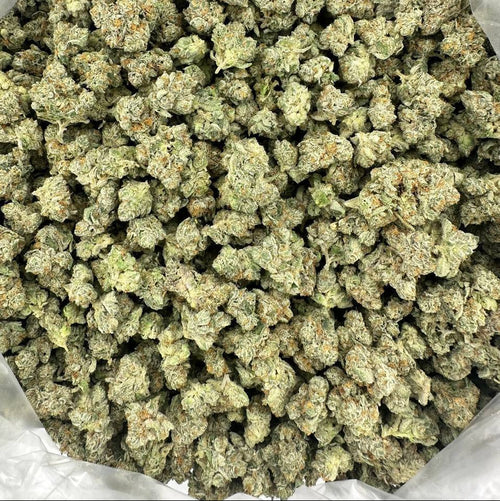 "AK47" Greenhouse (2 grams)