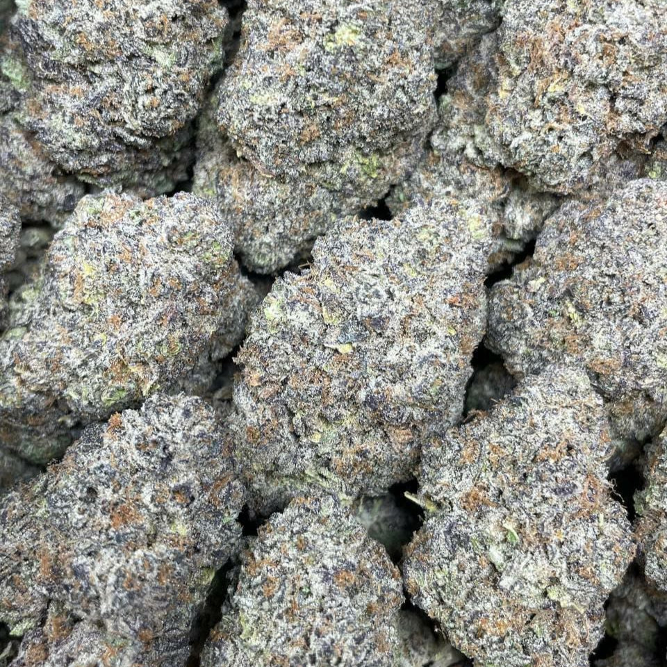 "White Cherry Gelato" Organic Indoor (1 gram)