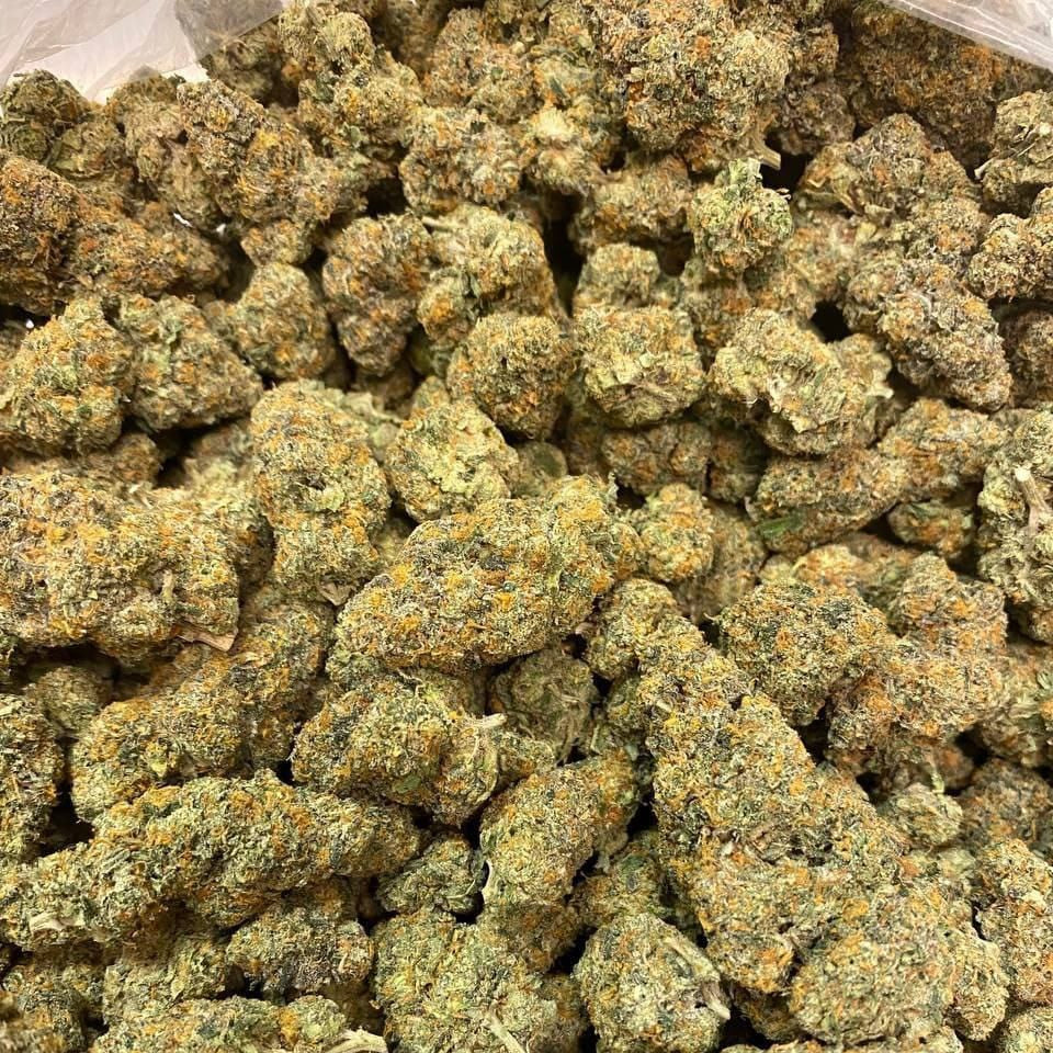 Afghan Gold Greenhouse (2grams)