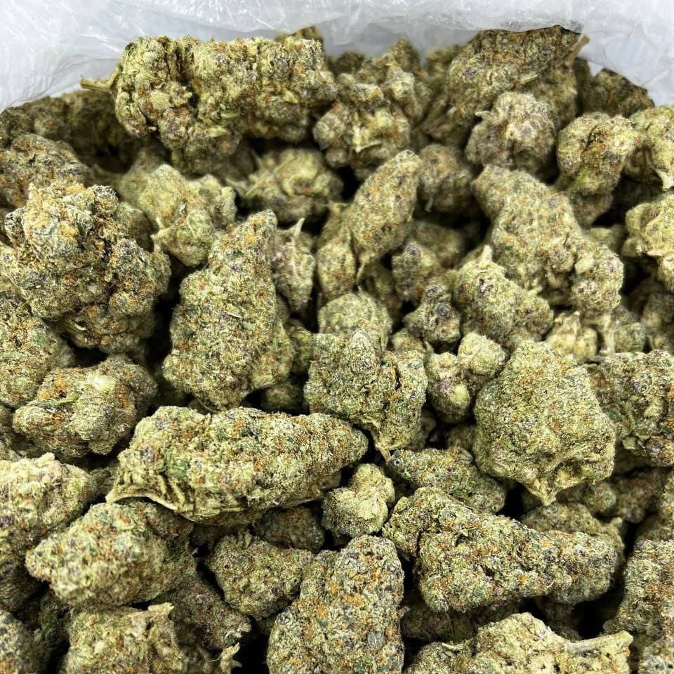 Apple Candy (Greenhouse 2grams)