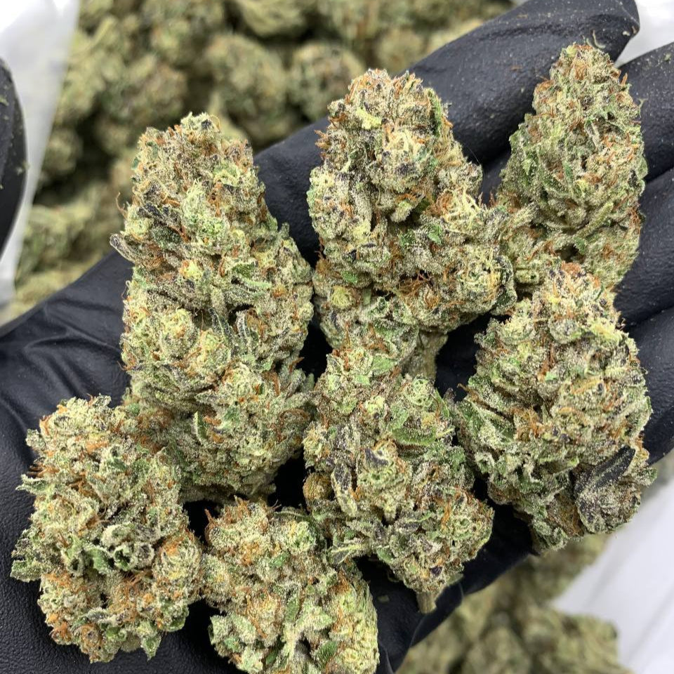 "Durban Poison" Organic  Indoor (1 gram)