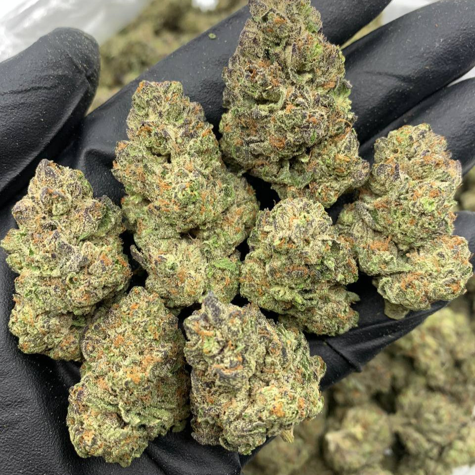 "Gorrilla Glue" Organic Indoor (2 grams)