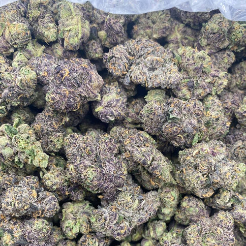 "Amnesia Haze" Organic Indoor (2 grams)