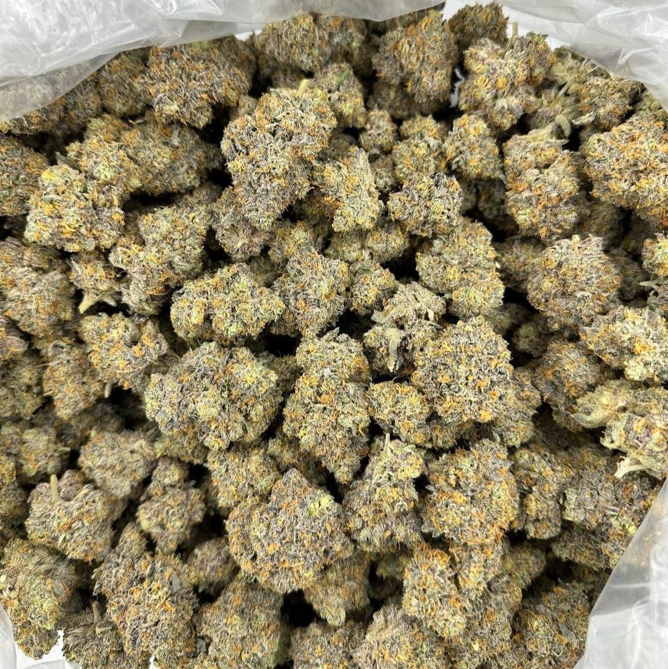 "Silva Haze" Organic Indoor (2 grams)