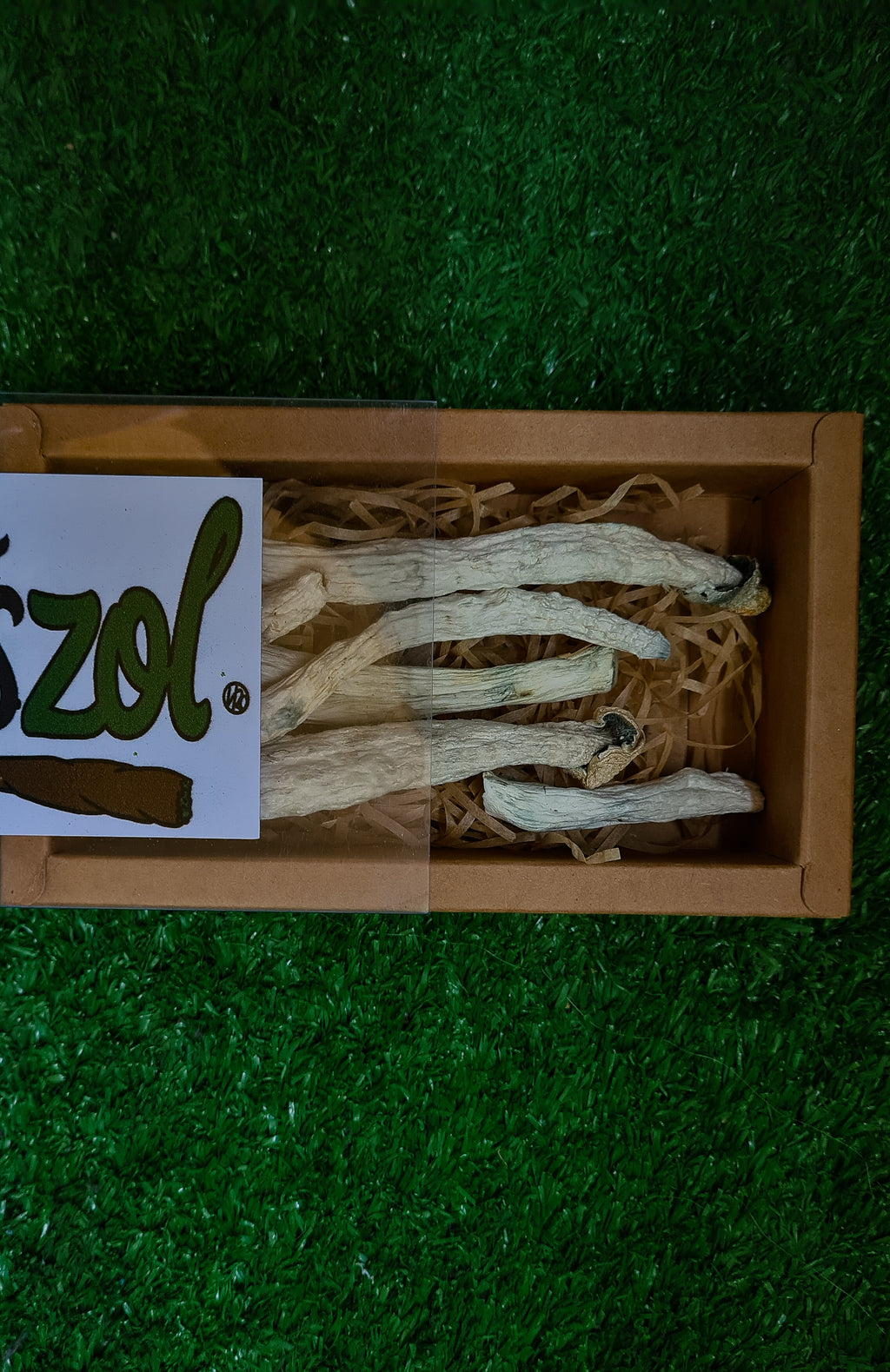 Natal Super Strength (NSS) Mushrooms