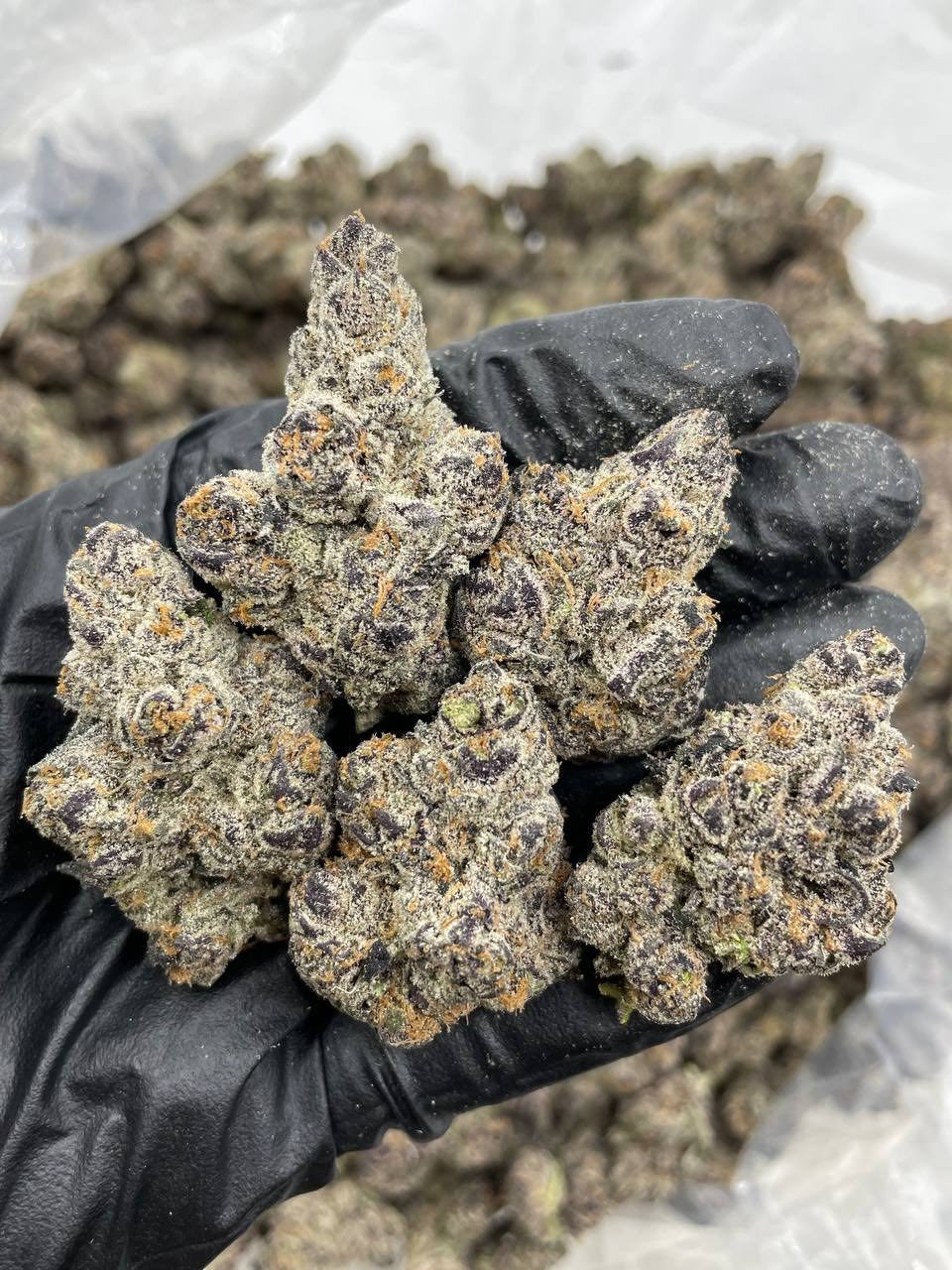 California Kush Organic INDOOR (1 gram)