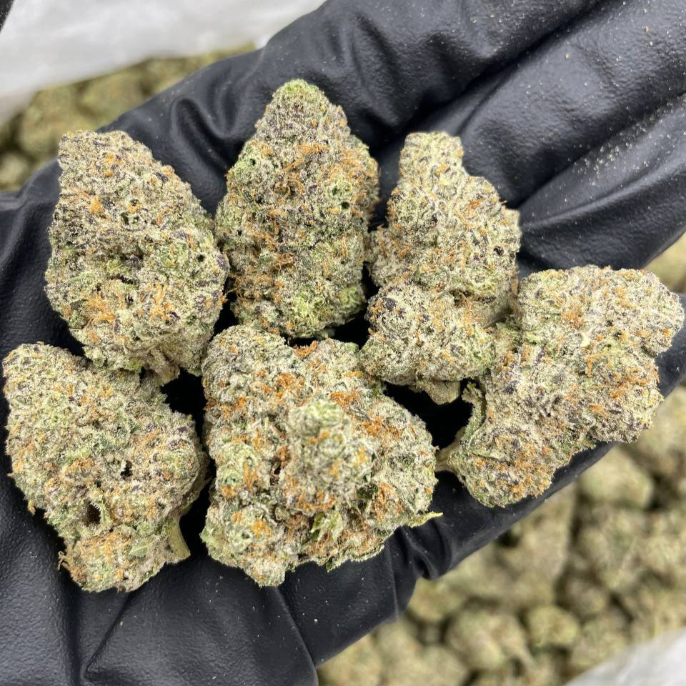 "Slurricane" Organic Indoor (2 grams)